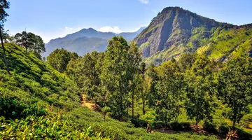 Sri Lanka - Esencja Cejlonu de lux