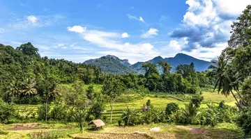 Sri Lanka - Esencja Cejlonu de lux