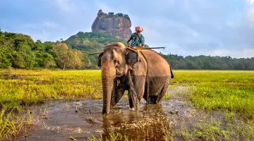 Sri Lanka - Esencja Cejlonu de lux
