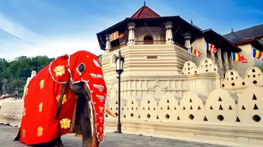 Sri Lanka Łza z policzka Indii