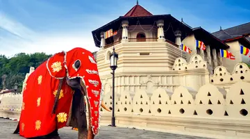Sri Lanka Łza z policzka Indii
