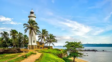Sri Lanka- Smak herbaty z cynamonem
