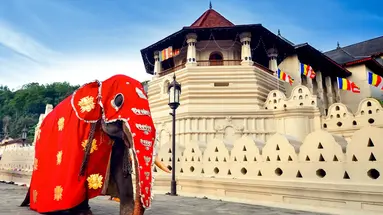 Sri Lanka- Smak herbaty z cynamonem