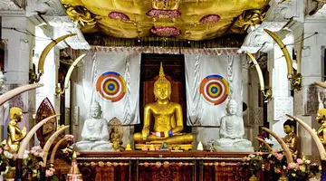 Sri Lanka- Smak herbaty z cynamonem
