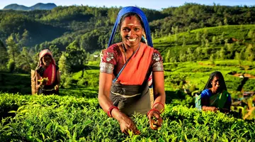 Sri Lanka- Smak herbaty z cynamonem