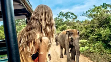 Sri Lanka- Smak herbaty z cynamonem