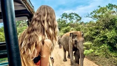 Sri Lanka- Smak herbaty z cynamonem