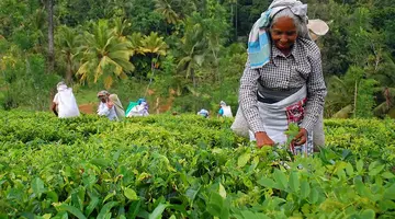 Sri Lanka - szlakiem buddyjskich skarbów