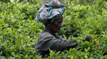 Sri Lanka - szlakiem buddyjskich skarbów