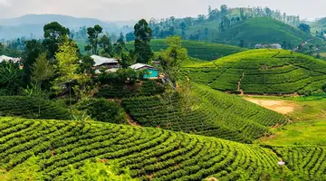 Sri Lanka - szlakiem buddyjskich skarbów