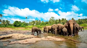 Sri Lanka - szlakiem buddyjskich skarbów