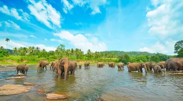 Sri Lanka - szlakiem buddyjskich skarbów