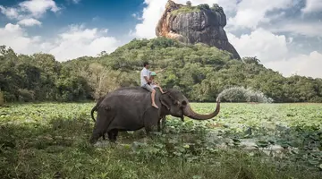Sri Lanka - zwiedzanie i wypoczynek - 12 dni