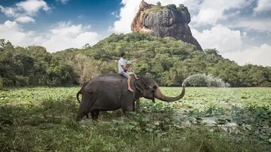 Sri Lanka - zwiedzanie i wypoczynek - 12 dni