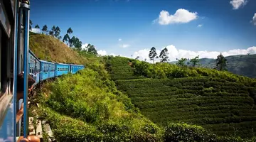 Sri Lanka - zwiedzanie i wypoczynek - 12 dni