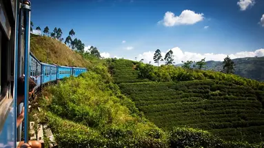 Sri Lanka - zwiedzanie i wypoczynek - 12 dni