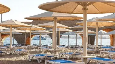 SRNTY Sahl Hasheesh (ex. Serenity Sky Arc Sahl Hasheesh)
