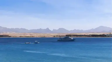 SRNTY Sahl Hasheesh