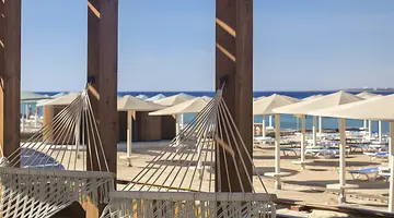 SRNTY Sahl Hasheesh