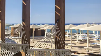 SRNTY Sahl Hasheesh