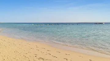 SRNTY Sahl Hasheesh