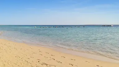 SRNTY Sahl Hasheesh
