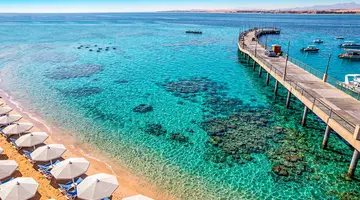 SRNTY Sahl Hasheesh