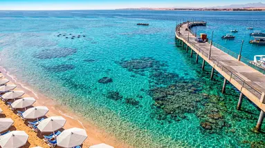 SRNTY Sahl Hasheesh