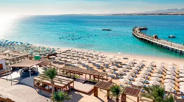 SRNTY Sahl Hasheesh