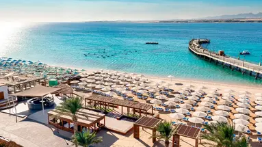 SRNTY Sahl Hasheesh