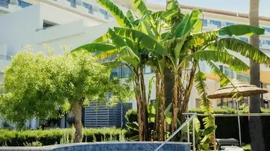 St. George Spa & Beach Resort