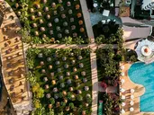St. George Spa & Beach Resort