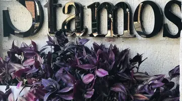 Stamos Hotel