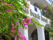Stella Beach Hotel