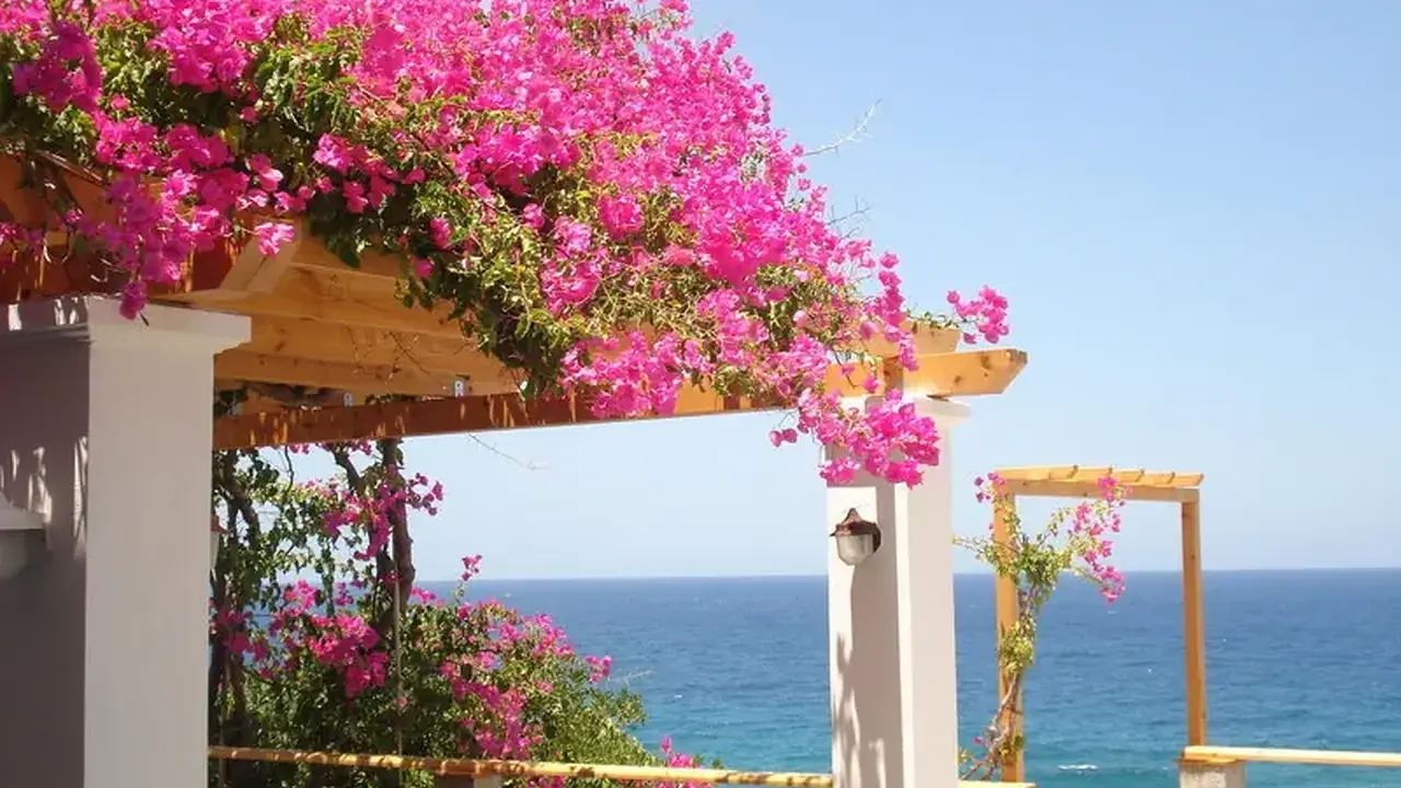 Stella Beach Panormo