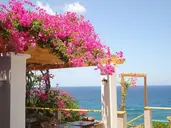 Stella Beach Panormo