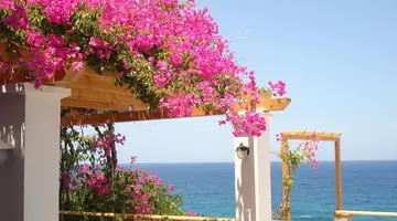 Stella Beach Panormo