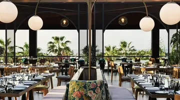 Stella Palace