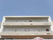 Stella Paradise