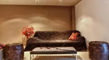 Stella Paradise