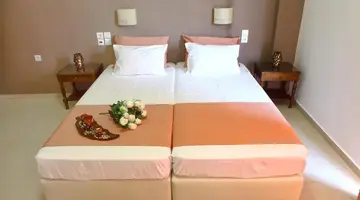 Stella Paradise