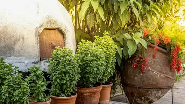 Stephanos Hotel Apartments