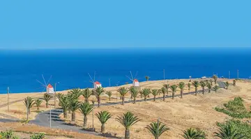 Strelicje na klifach - zwiedzanie Madery + Porto Santo