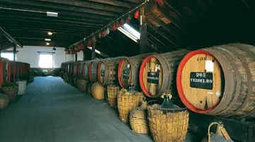 Strelicje na klifach - zwiedzanie Madery + Porto Santo
