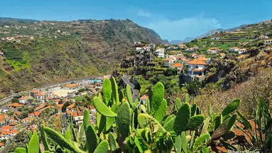 Strelicje na klifach - zwiedzanie Madery + Porto Santo