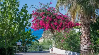 STROMBOLI HOTEL VILLAGGIO