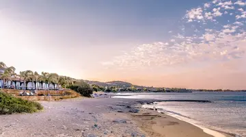 Studia Coralli Beach