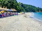 Studia Katerina