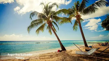Sugar Bay Barbados