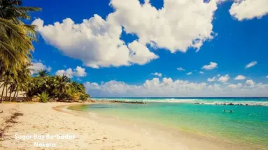 Sugar Bay Barbados